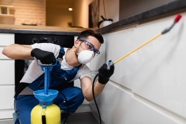 Best Best Pest Control Companies  in Dublin, GA