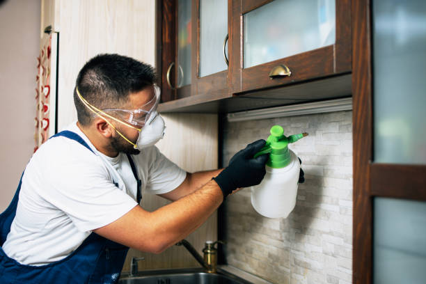 Best Rat Extermination Near Me  in Dublin, GA