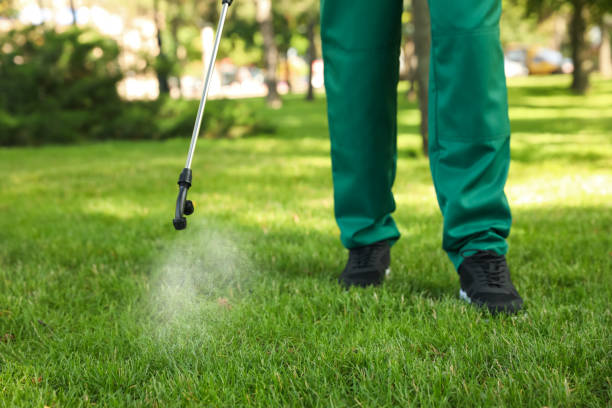 Best Rat Extermination Near Me  in Dublin, GA