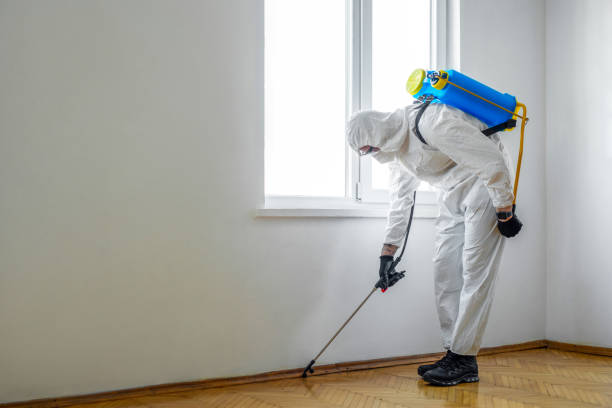 Best Insect Control  in Dublin, GA