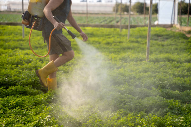 Best Pest Control for Restaurants  in Dublin, GA