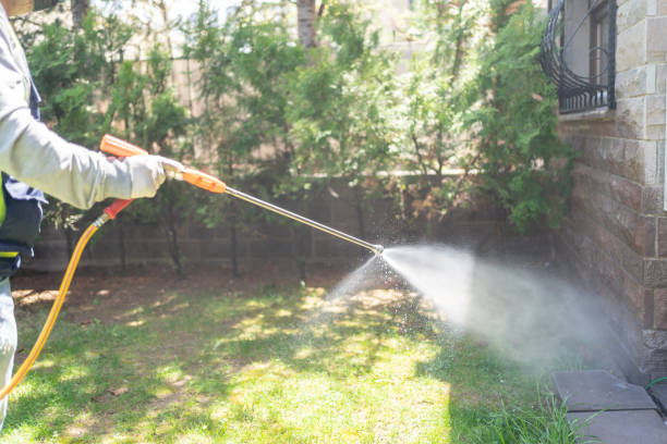 Best Pest Removal Services  in Dublin, GA