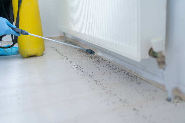 Best Affordable Pest Control Services  in Dublin, GA
