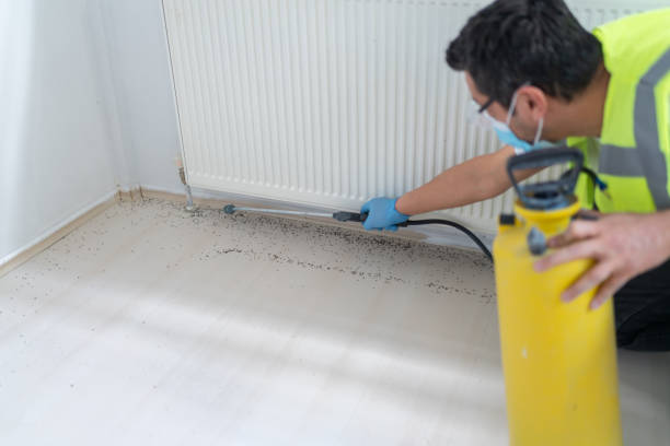 Best Termite Control Services  in Dublin, GA
