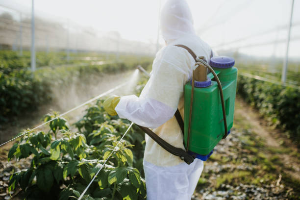 Best Residential Pest Control  in Dublin, GA